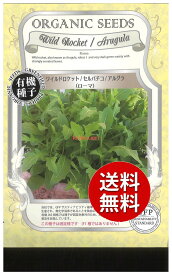 【代引不可】 【送料無料】seed たね tane 種 種子□ワイルドロケット セルバチコ アルグラ ローマ ◇種子種子 ハーブ 種ワイルドロケット セルバチコ アルグラ ローマ種子種子 ハーブ 種 seed たね tane 種