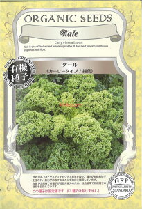 yszy5܂܂80~z seed  tane  q@P[J[[^CvΗt qq Lxc P[J[[^CvΗtqq Lxc  seed  tane  qP[J[