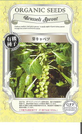 【代引不可】【送料5袋まで80円】◇ seed たね tane 種 種子 タネ □芽キャベツ■種子 キャベツ 種 種子 キャベツ 種 種子 キャベツ 種 種子 キャベツ 種 種子 キャベツ 種 種子 キャベツ 種 種子 キャベツ 種 種子 キャベ