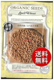 【代引不可】 seed たね tane 種 種子　□古代小麦 スペルト小麦 ◇種子種子 葉野菜 他 種古代小麦 スペルト小麦種子種子 葉野菜 他 種 seed たね tane 種 種子古代小麦 スペルト小麦種子種子 葉野