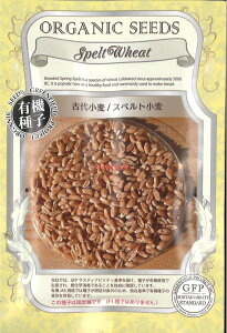 yszy5܂܂80~z seed  tane  q@Ñ㏬ Xyg qq t  Ñ㏬ Xygqq t   seed  tane  qÑ㏬ Xy