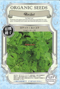 yszy5܂܂80~z seed  tane  q@PbgbRxr[[t qq n[u 탍PbgbRxr[[tqq n[u  seed  tane  qPb