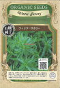 【代引不可】【送料5袋まで80円】 seed たね tane 種 種子　□ウィンターサボリー ◇種子種子 ハーブ 種ウィンターサ…