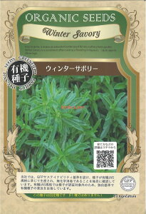 【代引不可】【送料5袋まで80円】 seed たね tane 種 種子 □ウィンターサボリー ◇種子種子 ハーブ 種ウィンターサボリー種子種子 ハーブ 種 seed たね tane 種 種子ウィンターサボリー種子種子