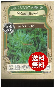 �y����s�z seed ���� tane �� ��q�@���E�B���^�[�T�{���[ ����q��q �n�[�u ��E�B���^�[�T�{���[��q��q �n�[�u �� seed ���� tane �� ��q�E�B���^�[�T�{���[��q��q �n�[�u �� see
