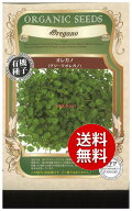 【代引不可】 【送料無料】seed たね tane 種 種子□オレガノグリークオレガノ ◇種子種子 ハーブ 種オレ…