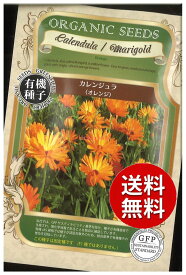 【代引不可】 seed たね tane 種 種子　□カレンジュラオレンジ ◇種子種子 花 種カレンジュラオレンジ種子種子 花 種 seed たね tane 種 種子カレンジュラオレンジ種子種子 花 種 seed た