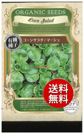 【代引不可】 【送料無料】seed たね tane 種 種子□コーンサラダマーシュ ◇種子種子 ハーブ 種コーンサラダマーシュ種子種子 ハーブ 種 seed たね tane 種 種子コーンサラダマーシュ種子種子 ハーブ 種 seed