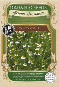 yszy5܂܂80~z seed  tane  q@W[}J~[ qq n[u q  W[}J~[qq n[u q   seed  tane  qW