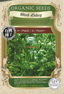 yszy5܂܂80~z seed  tane  q@n[uZX[vZ[ qq n[u n[uZX[vZ[qq n[u  seed  tane  qn[uZ