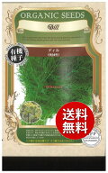 【代引不可】 【送料無料】seed たね tane 種 種子□ディル晩抽性 ◇種子種子 ハーブ 種ディル晩抽性種子…