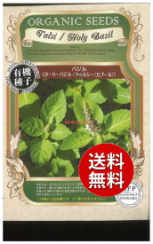 【代引不可】 【送料無料】seed たね tane 種 種子□バジル ホーリーバジル トゥルシー カプール ◇種子種子 ハーブ 種バジル ホーリーバジル トゥルシー カプール種子種子 ハーブ 種 seed たね tane