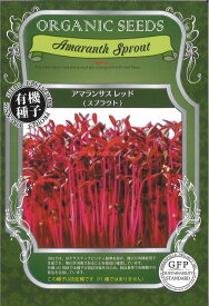 【代引不可】【送料5袋まで80円】 seed たね tane 種 種子　□アマランサスレッドスプラウト ◇種子種子 葉野菜 他 種アマランサスレッドスプラウト種子種子 葉野菜 他 種 seed たね tane 種 種子アマランサスレッドス