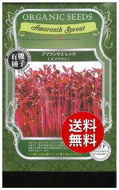 【代引不可】 【送料無料】seed たね tane 種 種子□アマランサスレッドスプラウト ◇種子種子 葉野菜 他 種アマランサスレッドスプラウト種子種子 葉野菜 他 種 seed たね tane 種 種子アマランサスレッドスプラウト