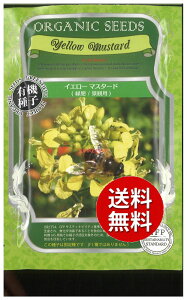 �y����s�z seed ���� tane �� ��q�@���C�G���[�}�X�^�[�h �Δ�q���i�ϗp ����q��q �t��� �� ���q �� ��C�G���[�}�X�^�[�h �Δ�q���i�ϗp��q��q �t��� �� ���q �� �� seed ���� t