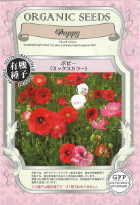 yszy5܂܂80~z seed  tane  q@|s[~bNXJ[ qq  |s[~bNXJ[qq   seed  tane  q|s[~bNXJ[qq 