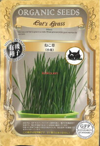 yszy5܂܂80~z seed  tane  q@˂  qq t  ˂ qq t   seed  tane  q˂ qq t   seed 