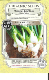 【代引不可】【送料5袋まで80円】◇ seed たね tane 種 種子 タネ □ ネギ スプリングオニオン ホワイトリスボン ■■■■