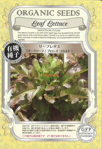 yszy5܂܂80~z seed  tane  q@[t^X I[N[tuYRJh qq ubR[ Jt[ ^X 탊[t^X I[N[tu