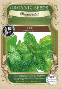 yszy5܂܂80~z seed  tane  q@~gyp[~g qq n[u ~gyp[~gqq n[u  seed  tane  q~gyp[~gqq