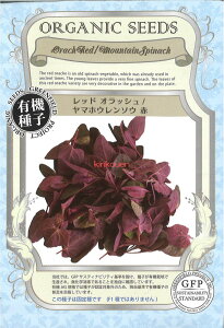 yszy5܂܂80~z seed  tane  q@bhIbV}zE\E qq zE\E 탌bhIbV}zE\EԎqq zE\E  