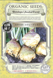 yszy5܂܂80~z seed  tane  q@^oKXEF[fJu ĂȂƐHׂȂA؃AxWqq 卪 Ju 탋^oKXEF[fJuq