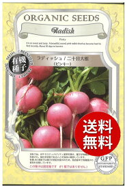 【代引不可】 seed たね tane 種 種子　□ラディッシュ二十日大根ピンキー ◇種子種子 大根 カブ 種ラディッシュ二十日大根ピンキー種子種子 大根 カブ 種 seed たね tane 種 種子ラディッシュ