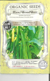 【代引不可】【送料5袋まで80円】◇ seed たね tane 種 種子 タネ □ ファーベ イタリアそら豆 アグアドゥルセスペルシモニア ■■豆 種 豆 種 豆 種 豆 種 豆 種 豆 種 豆 種 豆 種 豆 種 豆 種 豆 種 豆 種