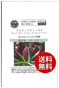 �y����s�z seed ���� tane �� ��q�@���`�R�����f�B�b�L�I���b�\�f�B�g���r�[�]�v���R�[�`�F ����q��q �t��� �� ���q �n�[�u ��`�R�����f�B�b�L�I���b�\�f�B�g���r�[�]�v���R�[�`�F