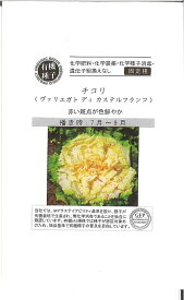 【代引不可】【送料5袋まで80円】◇ seed たね tane 種 種子 タネ □チコリ ウ゛ァリエガトディカステルフランコ ■■種子 葉野菜 他 種ハーブ 種 種子 葉野菜 他 種ハーブ 種 種子 葉野菜 他 種ハーブ 種 種子 葉野菜 他