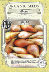 yszy5܂܂80~z seed  tane  q@~jʂ˂yA[VFCv qq lM ~jʂ˂yA[VFCvqq lM  seed  tane  q ^}lM ʂ˂ 