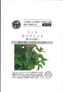 yszy5܂܂80~z seed  tane  q@~gXyA~g qq n[u ~gXyA~gqq n[u  seed  tane  q~gXyA~gqq