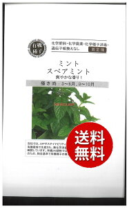 �y����s�z seed ���� tane �� ��q�@���~���g�X�y�A�~���g ����q��q �n�[�u ��~���g�X�y�A�~���g��q��q �n�[�u �� seed ���� tane �� ��q�~���g�X�y�A�~���g��q��q �n�[�u �� see