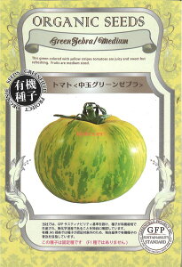 yszy5܂܂80~z seed  tane  q@g}gʃO[[u qq g}g ~jg}g g}gʃO[[uqq g}g ~jg}g  seed  tane
