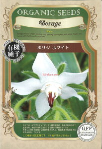 yszy5܂܂80~z seed  tane  q@{WzCg qq n[u q  {WzCgqq n[u q   seed  tane  q{WzCg