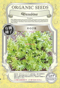 yszy5܂܂80~z seed  tane  q@킳э 킳э seed  tane  q킳э seed  tane  q킳э seed  tane  q킳э 킳э see