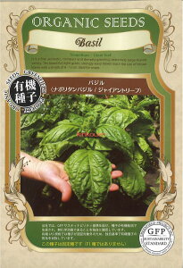 yszy5܂܂80~z seed  tane  q@oWi|^oWWCAg[t qq n[u oWi|^oWWCAg[tqq n[u  