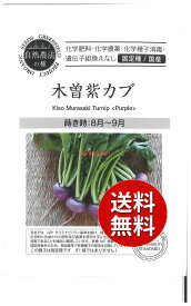 【代引不可】 【送料無料】seed たね tane 種 種子□木曽紫カブ ◇種子種子 大根 カブ 種木曽紫カブ種子種子 大根 カブ 種 seed たね tane 種 種子木曽紫カブ種子種子 大根 カブ 種 seed たね tane