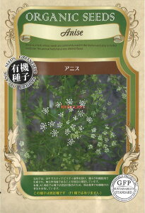 yszy5܂܂80~z seed  tane  q@AjX qq n[u AjXqq n[u  seed  tane  qAjXqq n[u  seed  tane  qAjX