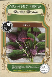 yszy5܂܂80~z seed  tane  q@񗕂 qq t  񗕂qq t   seed  tane  q񗕂qq t   h  V