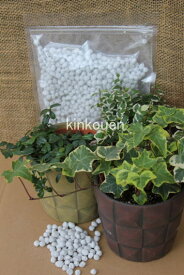 楽天市場 肥料 置き肥の通販