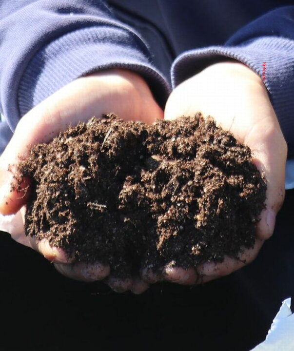 市場 あかぎ園芸 4袋メーカー直送ko パンジー ビオラの土 14l