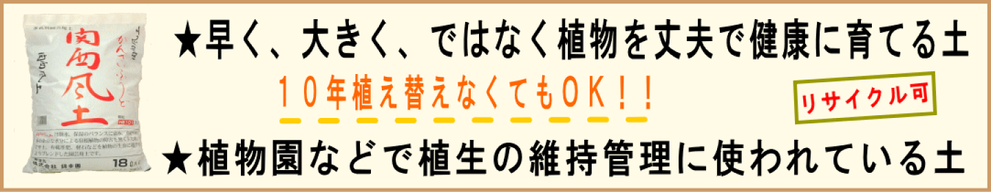 関西風土