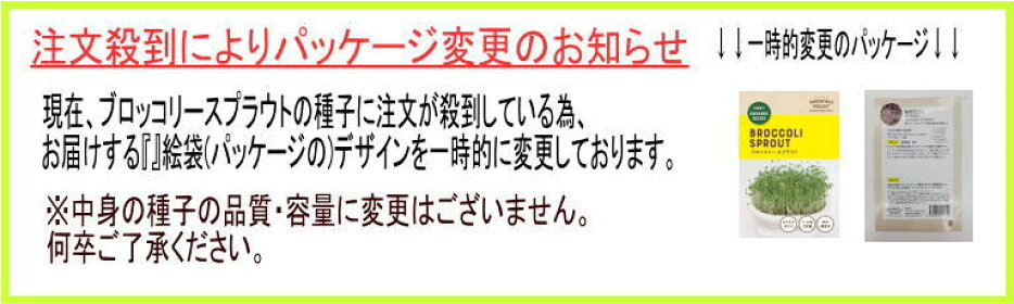 ブロッコリースプラウト