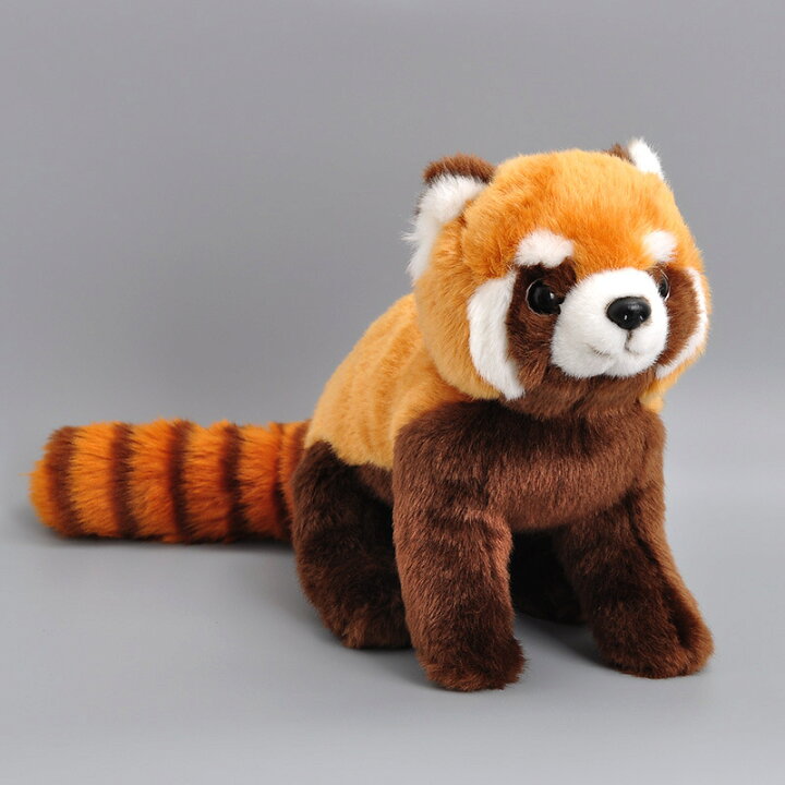 楽天市場】レッサーパンダ ぬいぐるみ 長50cm ふかふか リアル 動物 