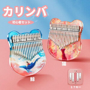 ewsAm Jo S wsAm 17L[ AtJy tBK[sAm wr 17wsAm `[i[n}[ ql v[g S2F