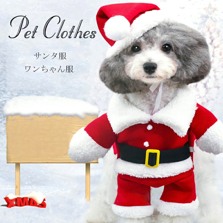 楽天市場】ランキング1位受賞｜犬 犬服 クリスマス 衣装 