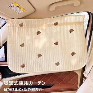 J[e Ă~ J[e TVF[h TCh zՎ ՔMՌ ToCU[ vCoV[ی   [XJ[e ˓ O΍ tȒP Ԓ AEghA