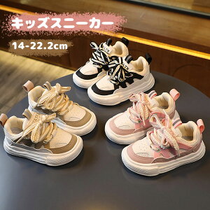 yyVX[p[SALEzOFFzXj[J[ LbY WjA ^C V[Y qp qC j̎q ̎q JWA X|[c y  킢 ʉ ʊw o ig ₷