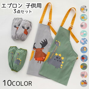 Gv qp Jo[t LbY    LbYGv K ̎q j̎q ` NbLO wZ ct  110/130/150 3-12΁@10COLOR